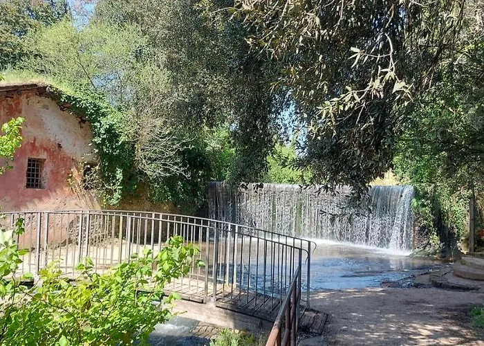 La Casa Di Bambi